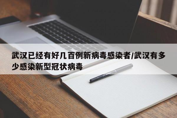 武汉已经有好几百例新病毒感染者/武汉有多少感染新型冠状病毒