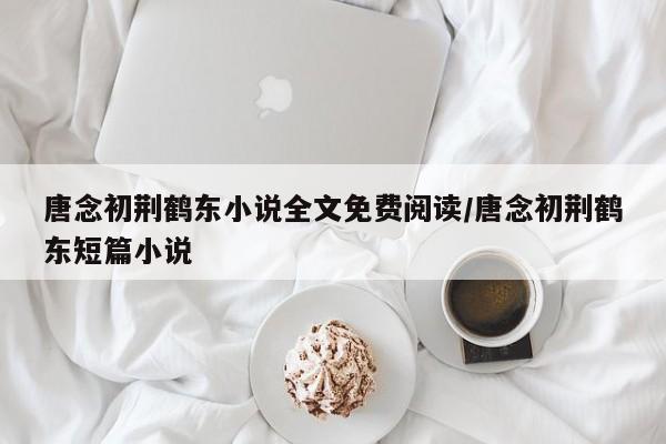唐念初荆鹤东小说全文免费阅读/唐念初荆鹤东短篇小说